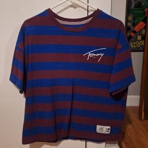 Tommy Hilfiger Signature Tee in Blue and Burgundy